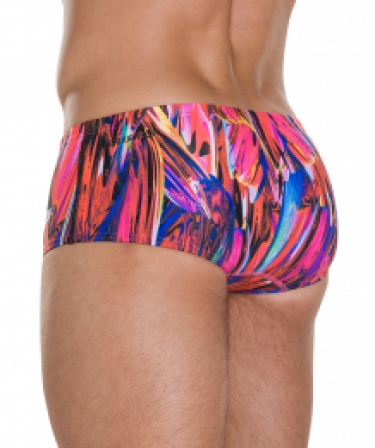 Speedo Vortex Swirl