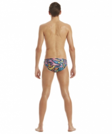 Amanzi Alchemy Brief